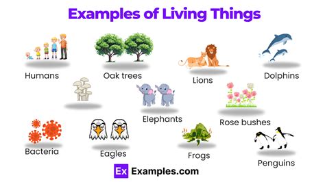 living thing .